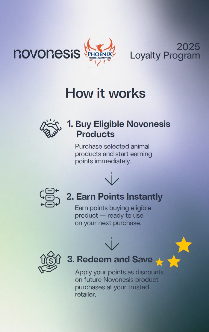 overview of how the rewards program works