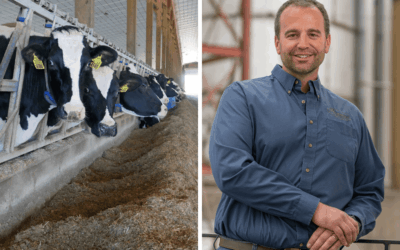 Behind the Windshield: Insights from Phoenix Dairy Nutritionist Dave Burnham