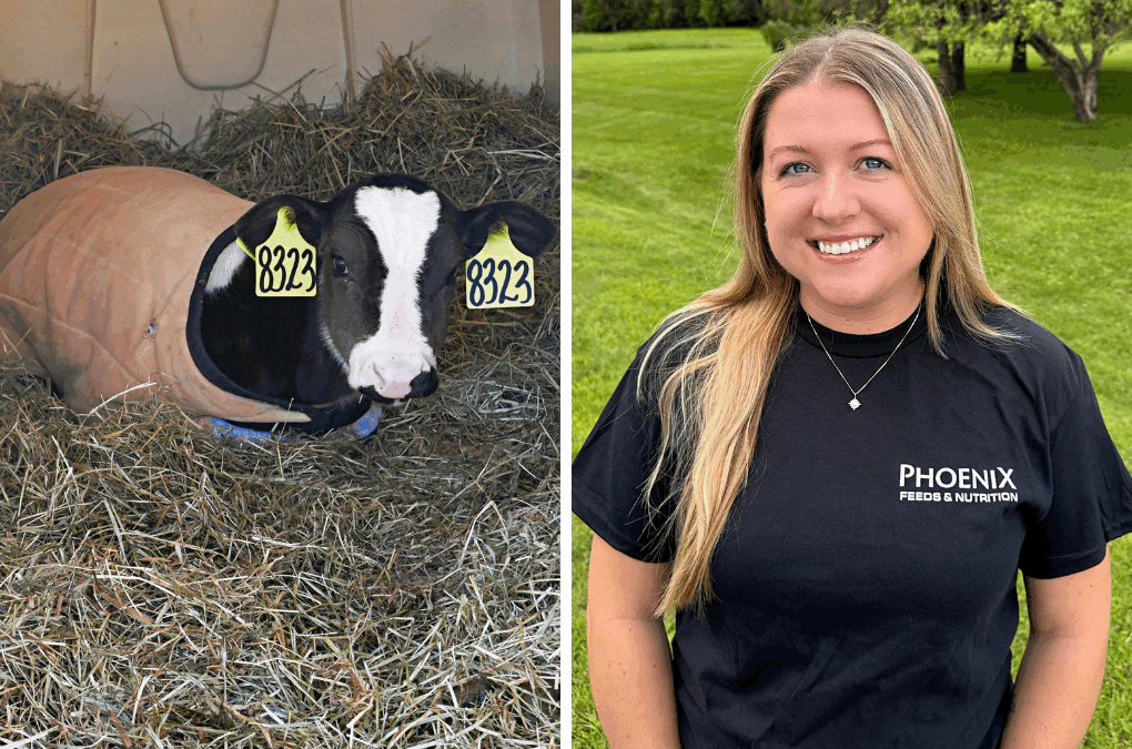 Behind the Windshield: Insights from Calf & Heifer Nutrition Specialist Gabby Domagala
