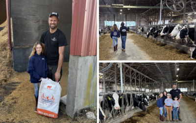 How This 100+ Year-Old CT Farm Stays Competitive Amid Challenging Dairy Market